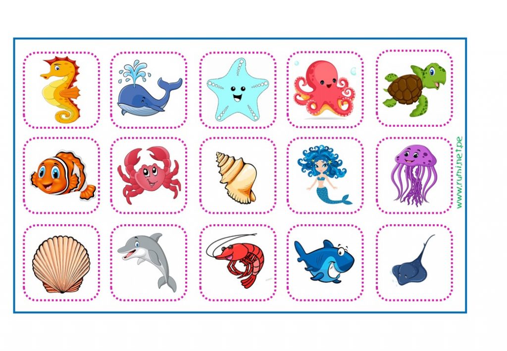 Fichas 1 -15